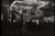 Images (1)_tiny